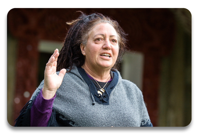 Te Whainga o te Ao Tikanga courses at Te Wānanga o Aotearoa