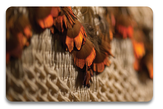A macro shot of a korowai 