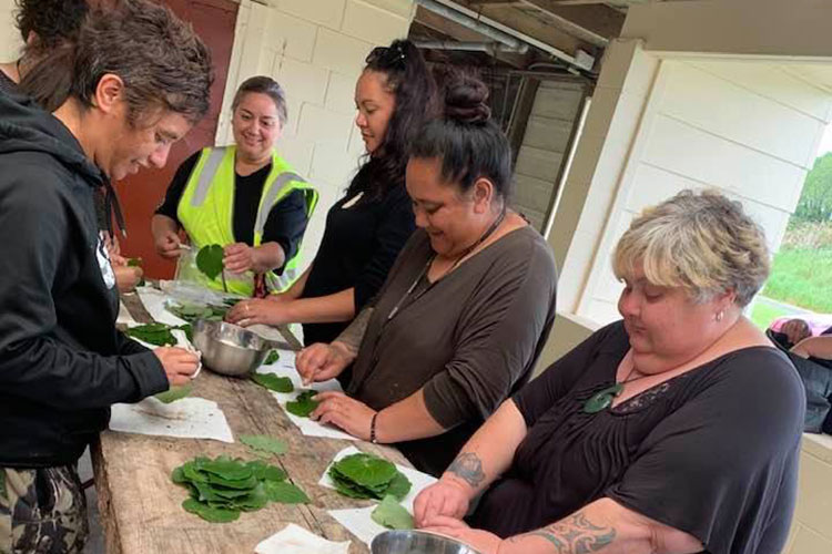 Rongoā Rotorua kawakawa cleaning