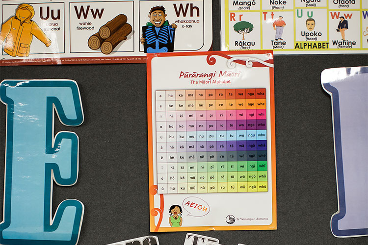 Te Ara Reo at Taumarunui