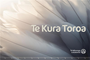 Te Kura Toroa