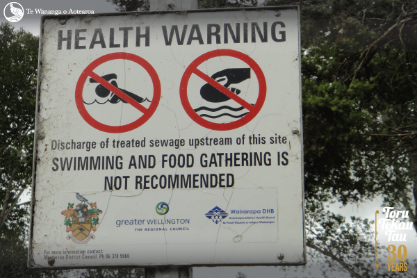 Level 4 Environmental Marae course