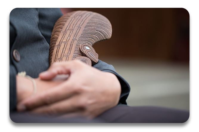 Te Pīnakitanga ki te Reo Kairangi course at Te Wananga o Aotearoa. Learn Maori with Level 7